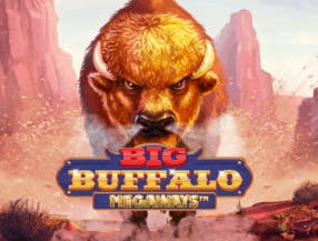game logo by Skywind Group on spindogscasino.net