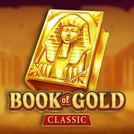 game logo by Playson on spindogscasino.net