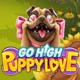 game logo by RubyPlay on spindogscasino.net